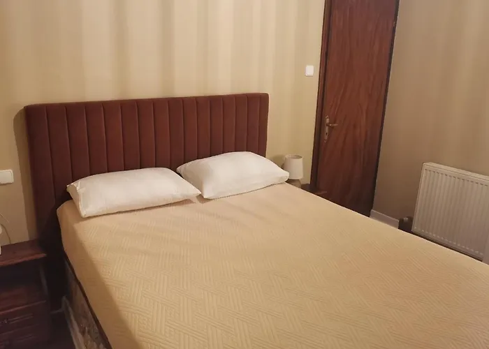 阿塔维罗斯酒店 Émbonas