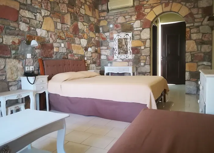 阿塔维罗斯酒店 Émbonas