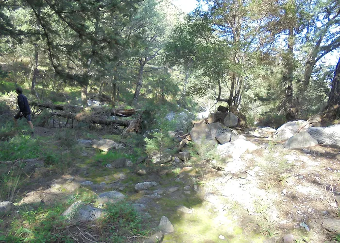 阿塔维罗斯酒店 公寓式酒店