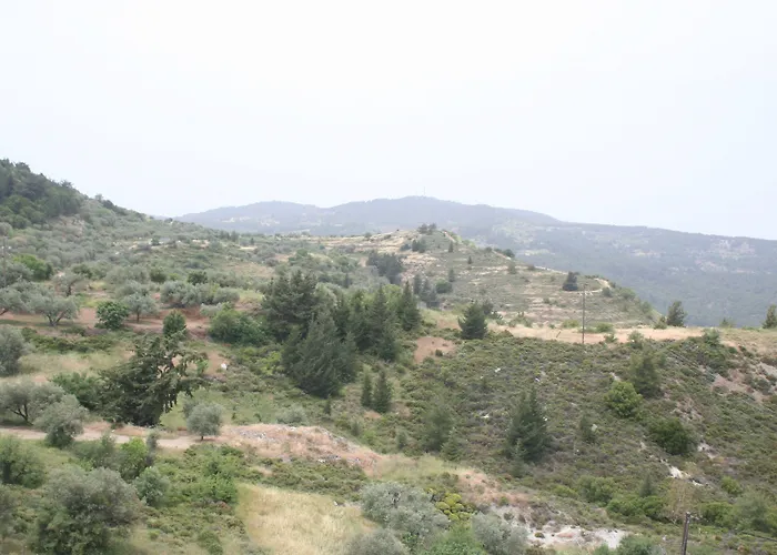 公寓式酒店 阿塔维罗斯酒店 2*